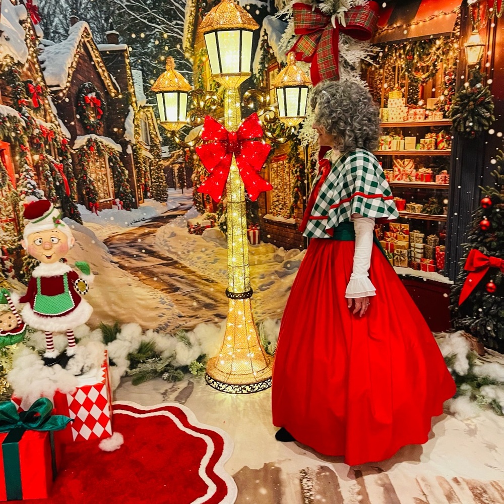 Dickens, Mrs. Clause Ladies Long red Skirt, Sash, Cape with Gingham.